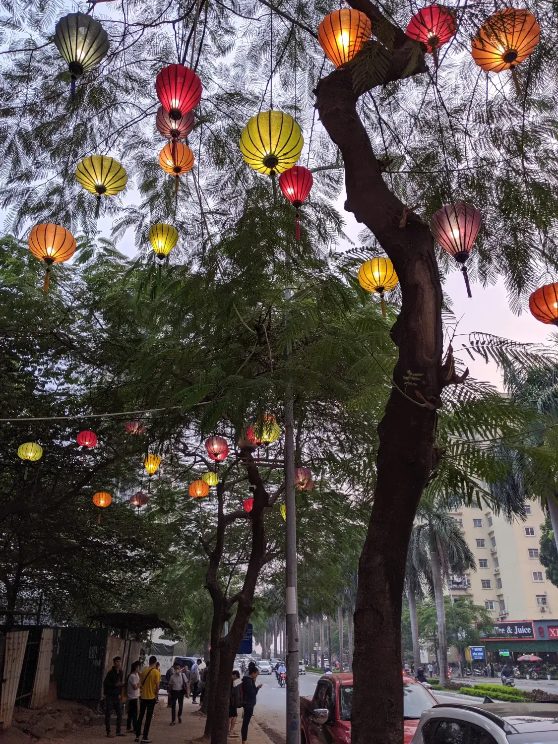 Pretty lanters in Hanoi