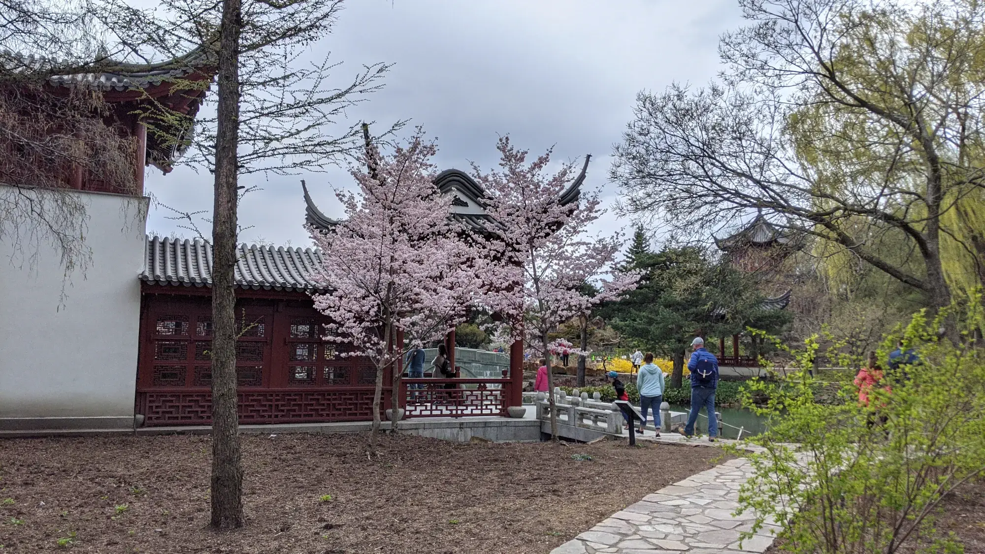 Montreal Botanical Gardens Chinese Gardens