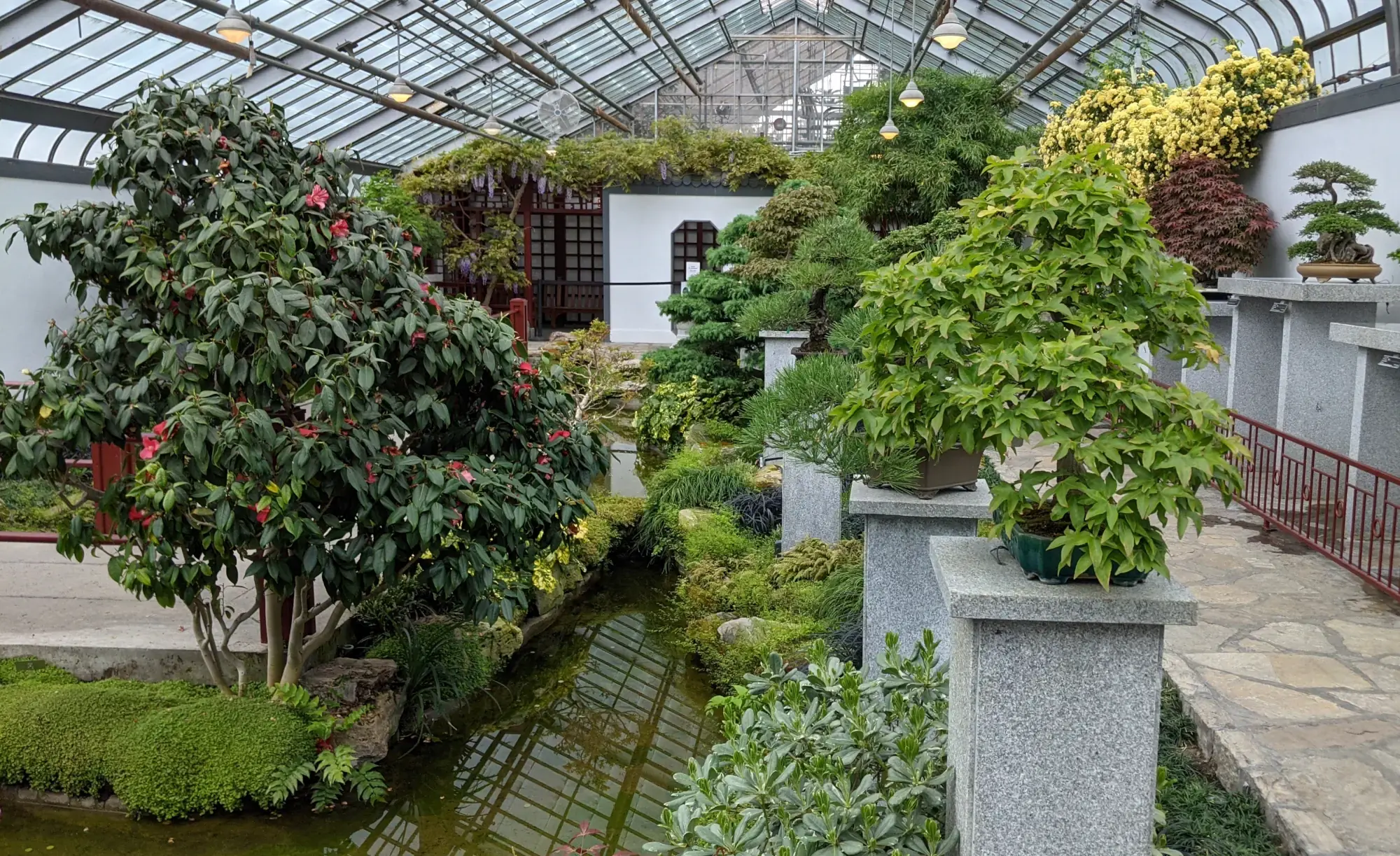 Montreal Botanical Gardens Greenhouse