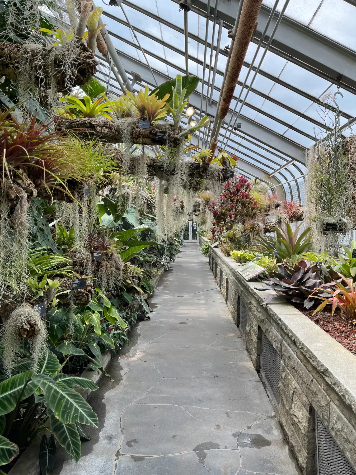 Montreal Botanical Gardens Greenhouse