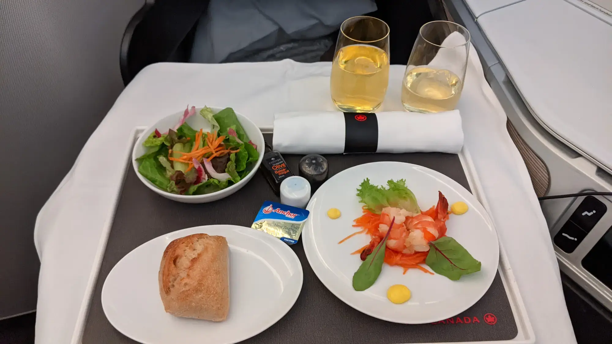 Air Canada Business Class Suite