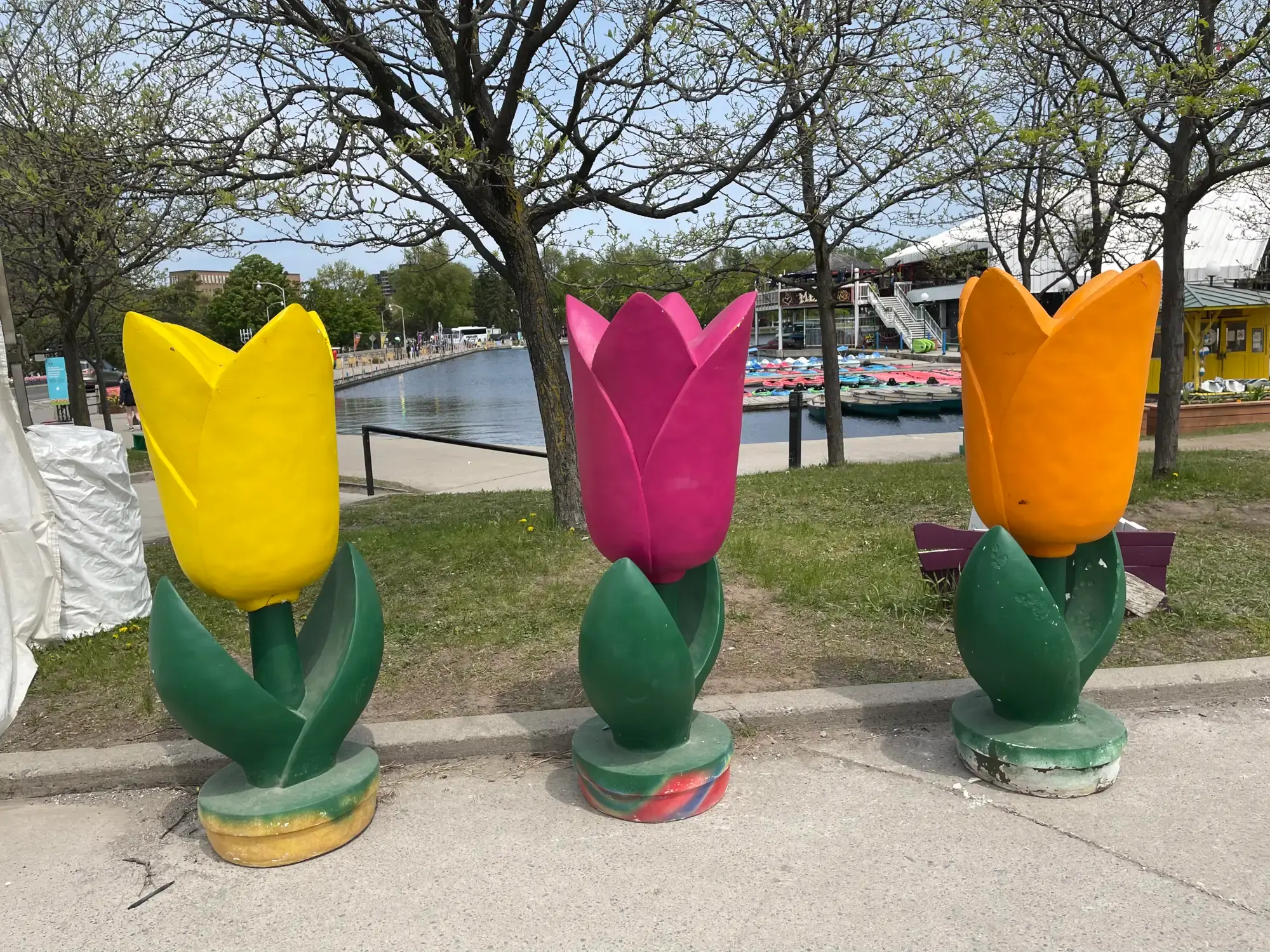 Tulip Sculptures
