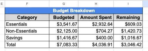 Monthly Overview with budget breakdown