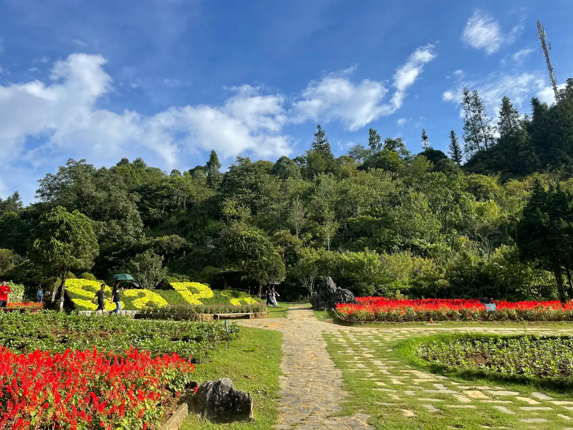 Ham Rong Mountain gardens