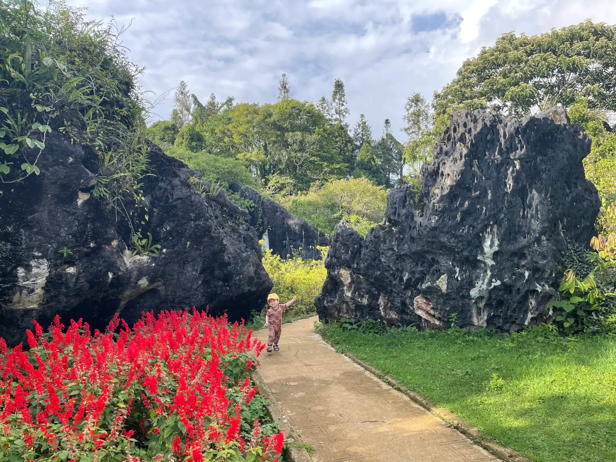 Ham Rong Mountain gardens