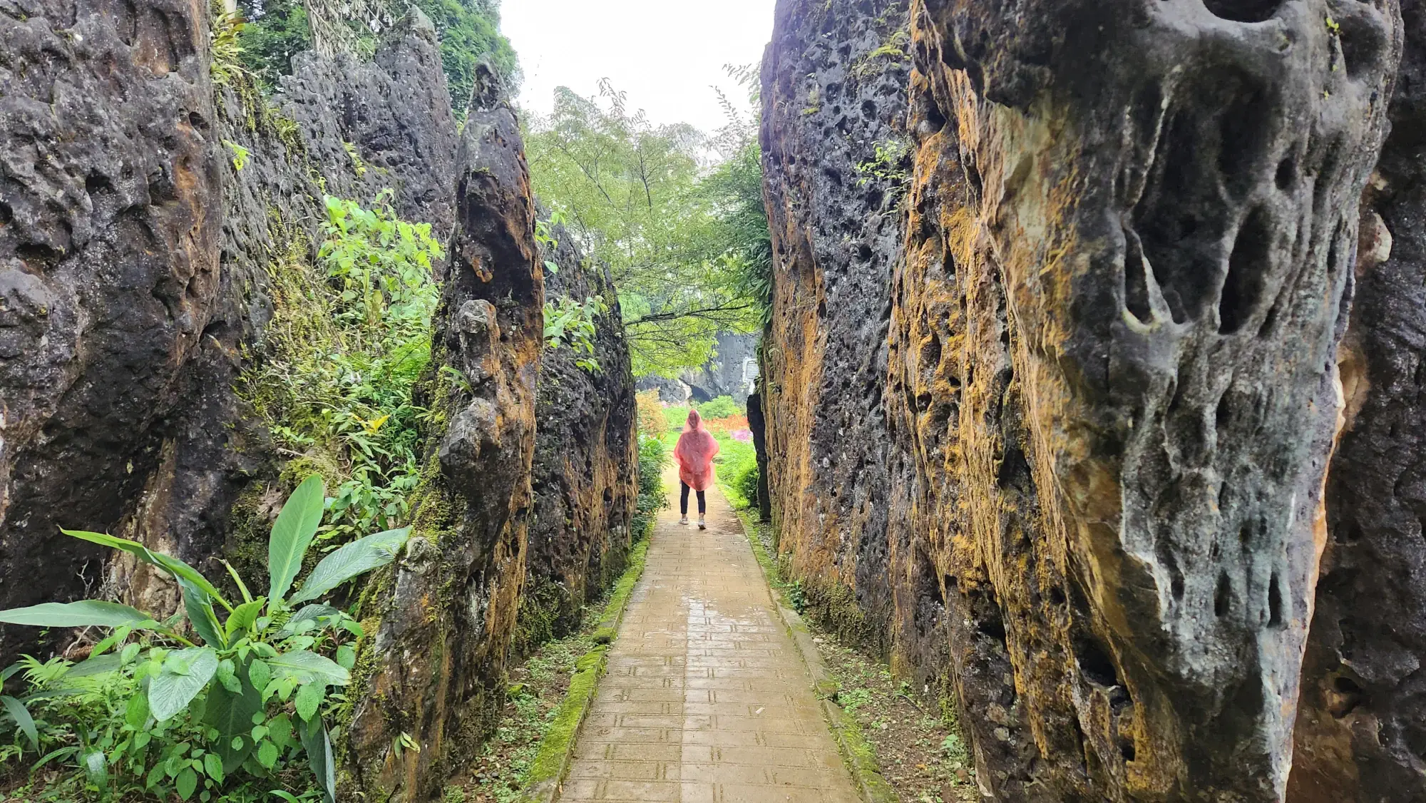 Ham Rong Mountain gardens