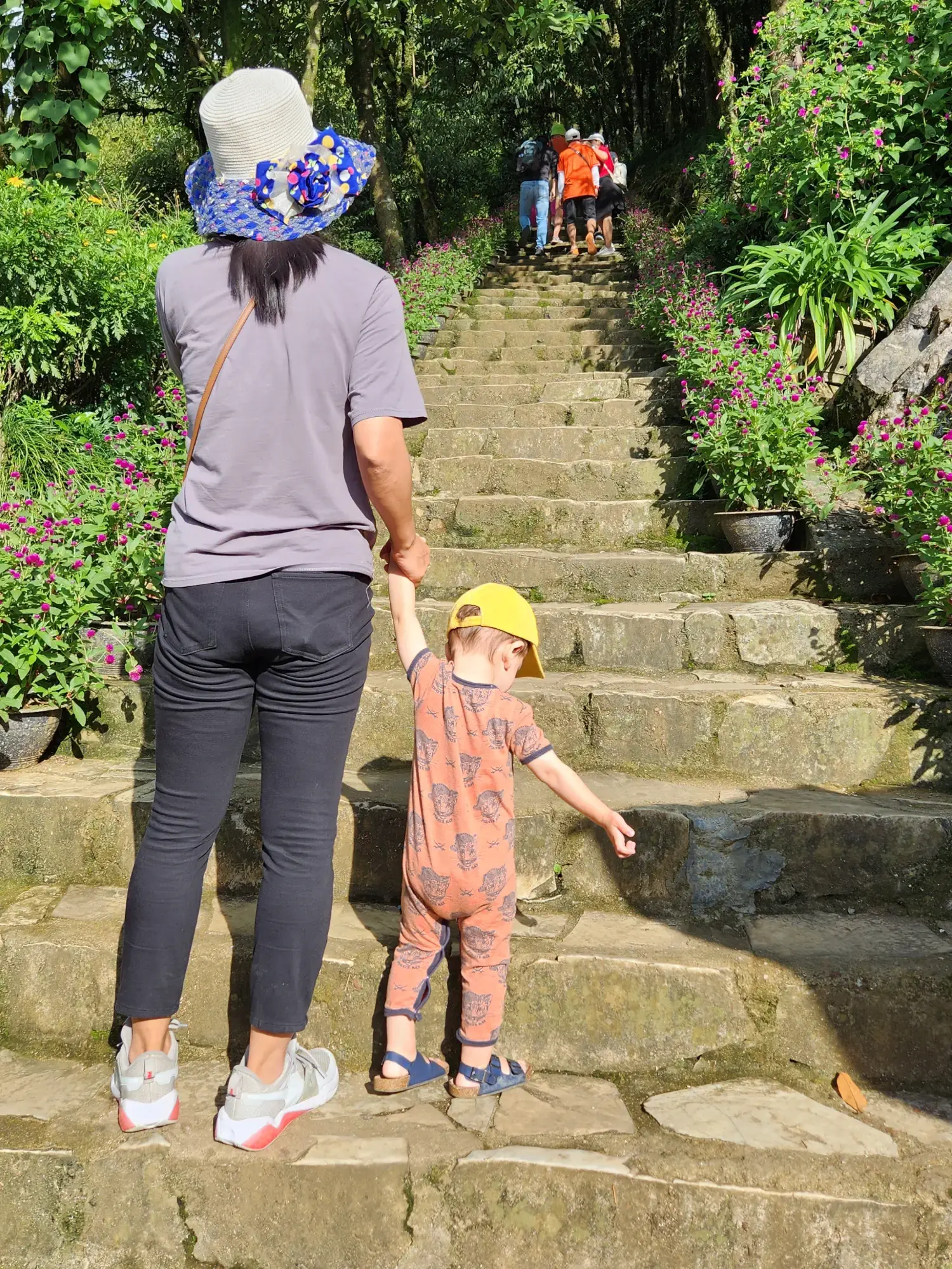 Ham Rong Mountain steps