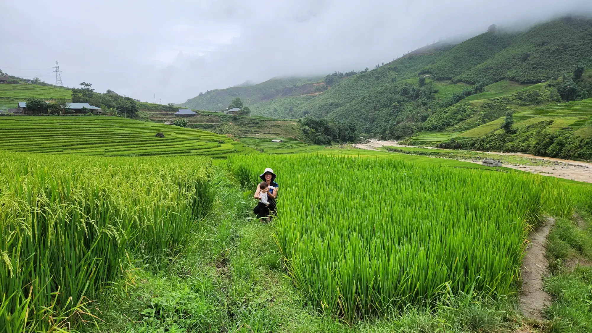 Sitting in the rice terraces, Muong Hoa Valley, Sapa, Vietnam