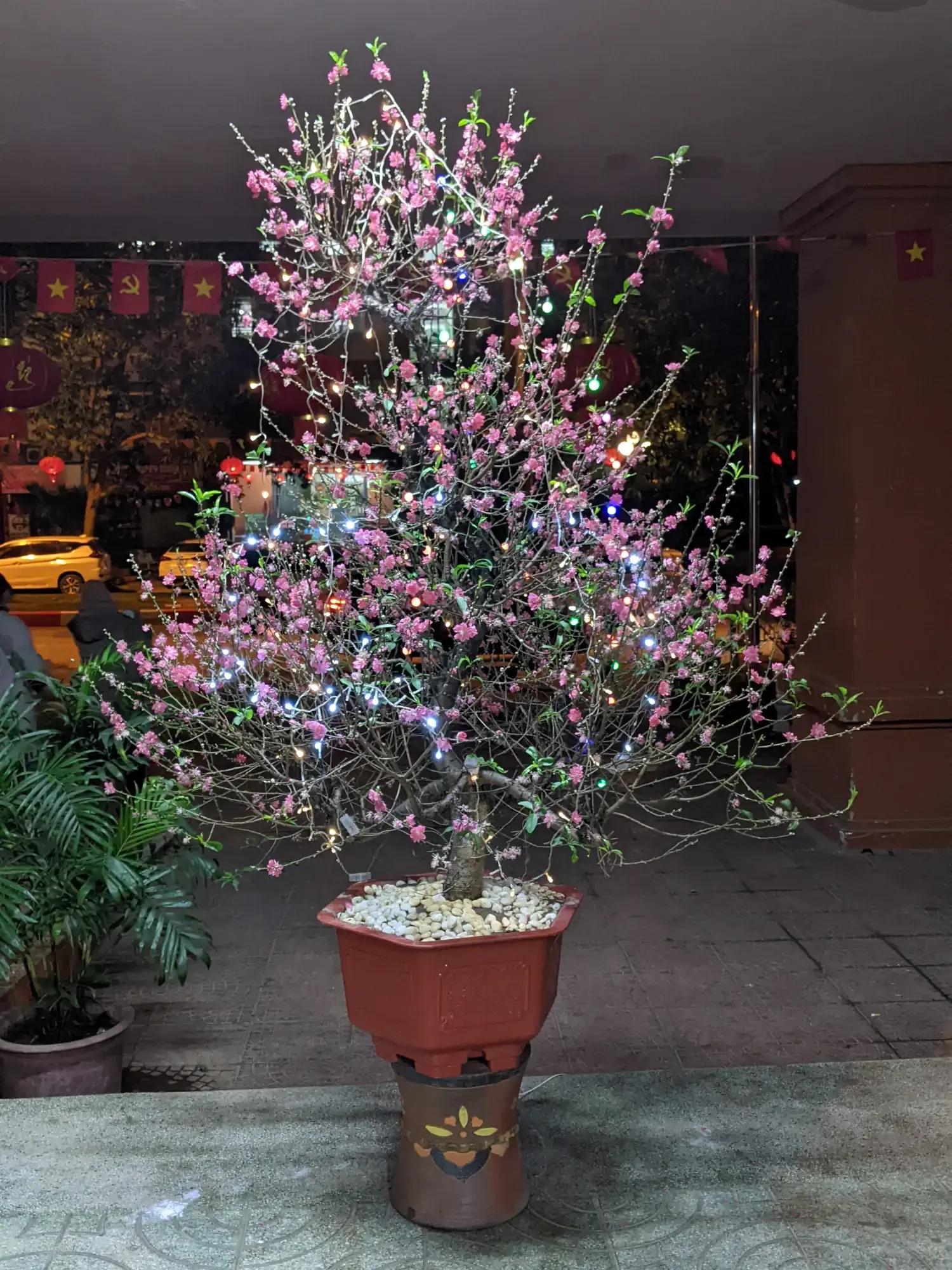 Decorated Hoa Dao tree