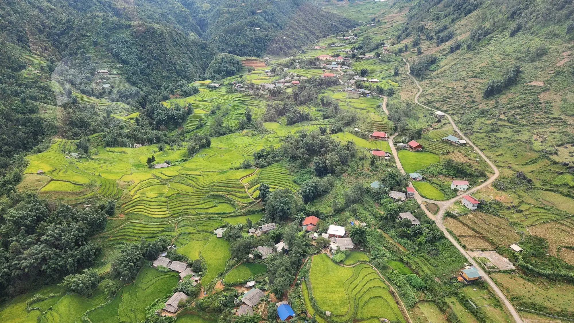 Lush Green Rice Terraces in Summer